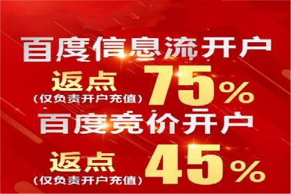 百度推广代运营公司案例分析